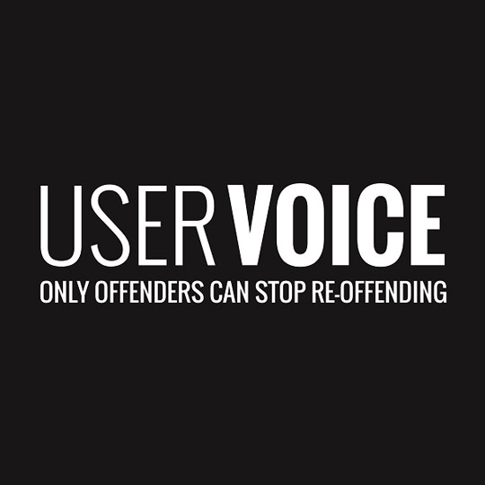 user-voice-1